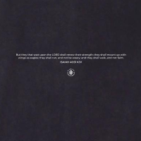 Eagle Oversized Unisex T-shirt 