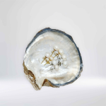 Magic Pearls earstud 8mm